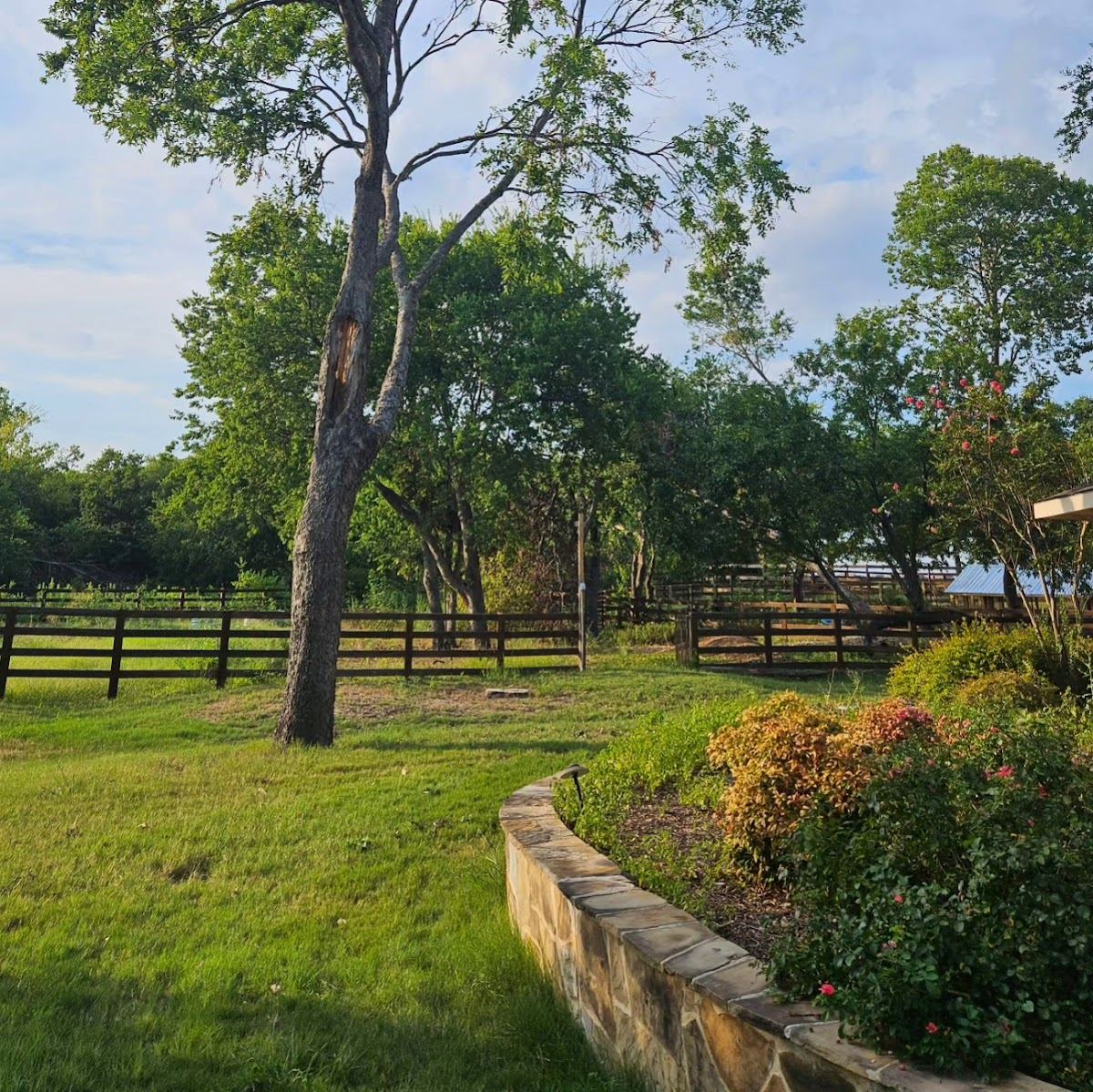 Tree service in Grapevine, TX by Sion Tree Service