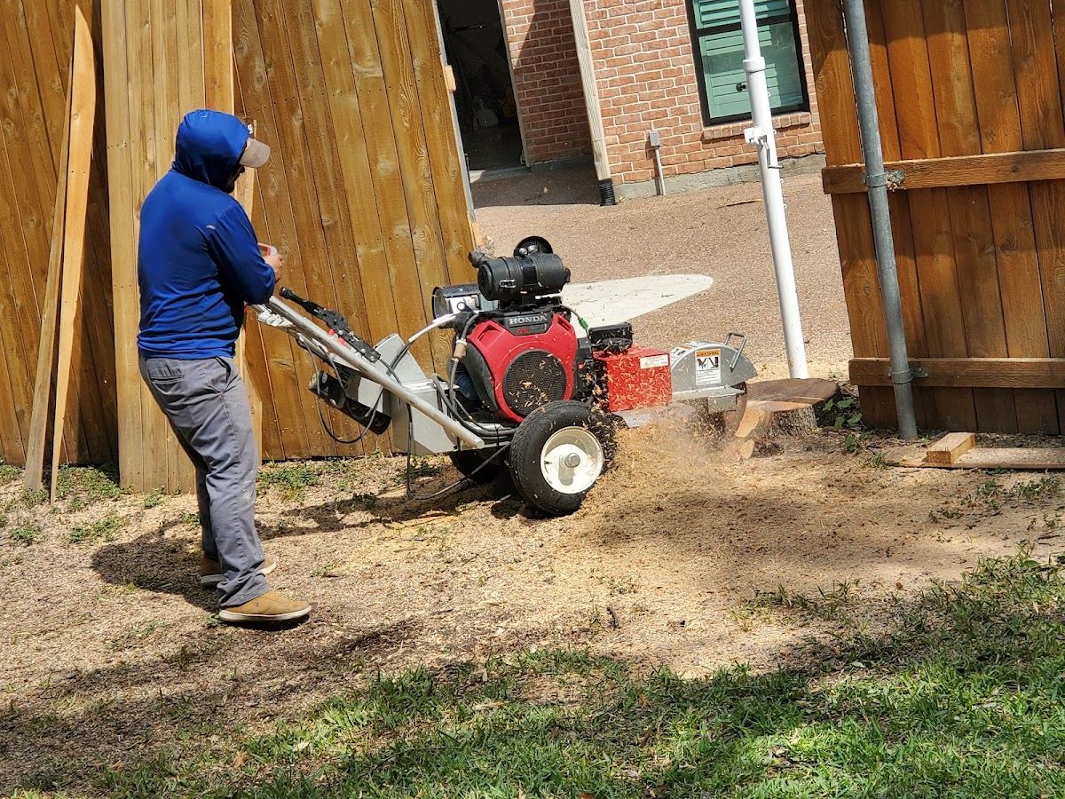 Crew member grinding a backyard tree stump beside a cedar fence in Texas