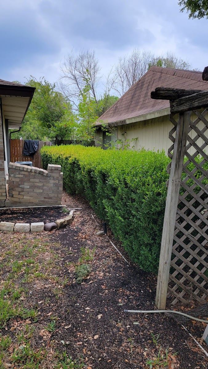 Tree service in Haltom City, TX by Sion Tree Service