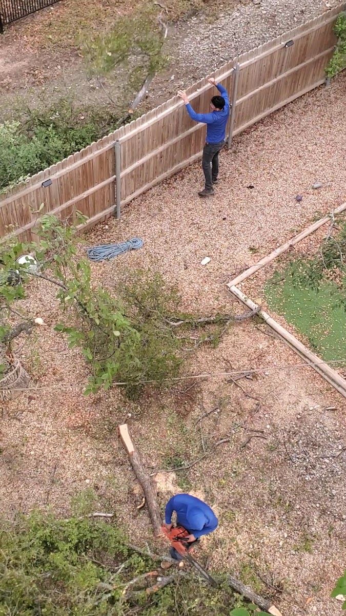 Tree service in Benbrook, TX by Sion Tree Service