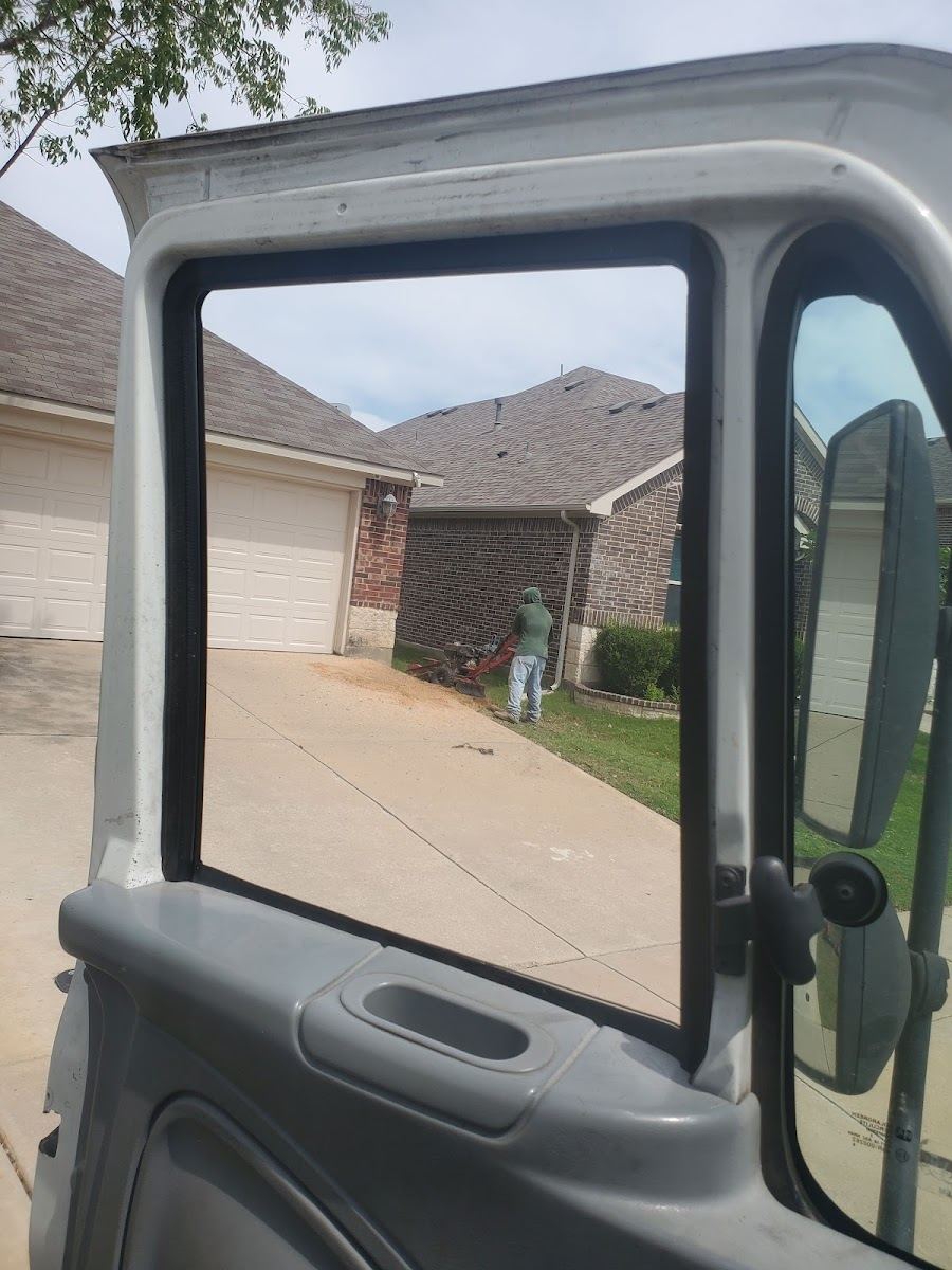Tree service in Lake Worth, TX by Sion Tree Service