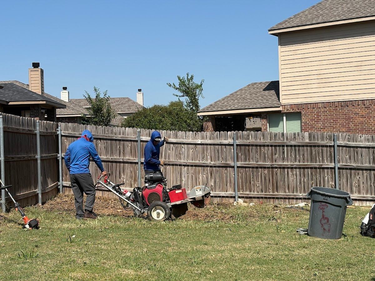 Tree service in Haslet, TX by Sion Tree Service