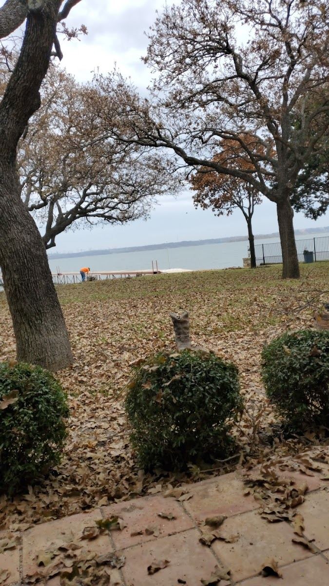 Tree service in Roanoke, TX by Sion Tree Service