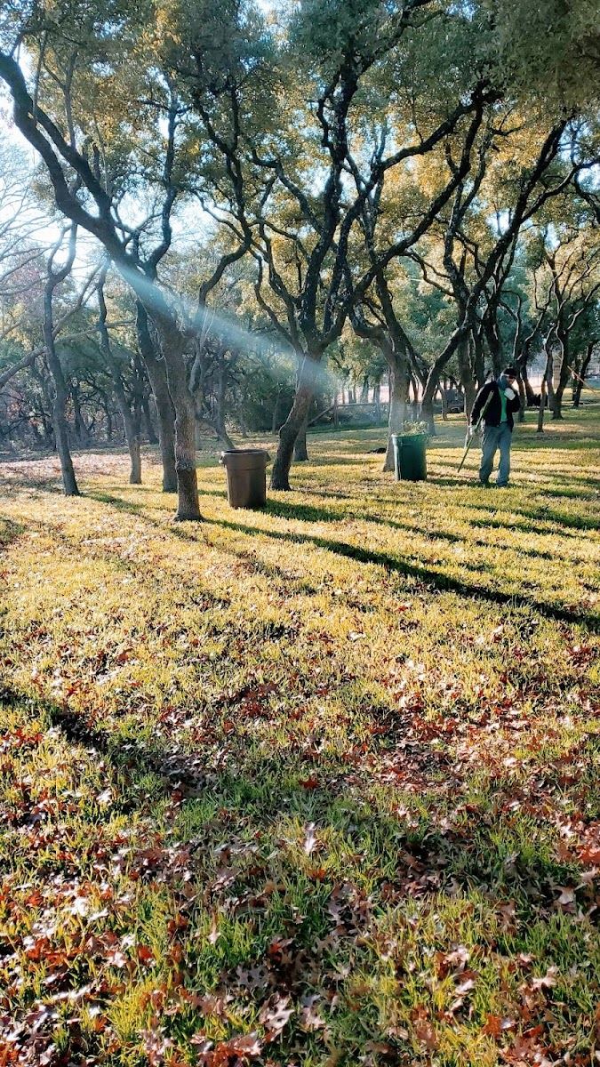 Tree service in Fort Worth, TX by Sion Tree Service
